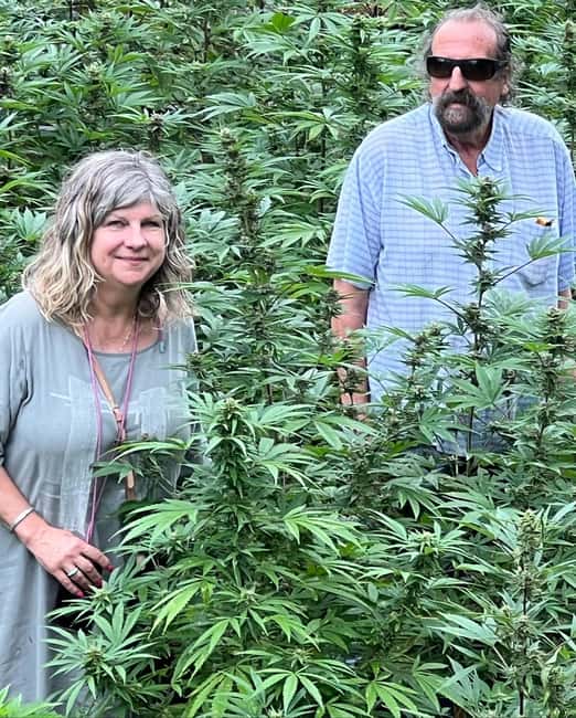 Montego Bay: Marijuana Farm Private Tour with Transportation - Getting there with Carlos, Randy, or another private driver