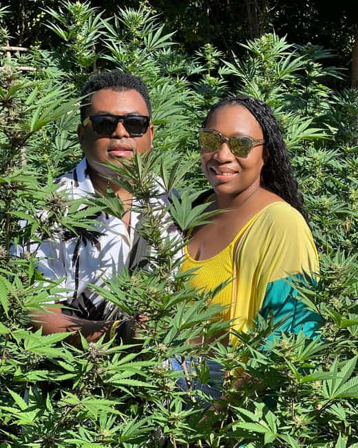 Montego Bay Marijuana Farm Tour - How to make the most of the one to two hours