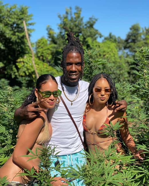 Montego Bay Marijuana Farm Tour - The photo opportunity among the rows