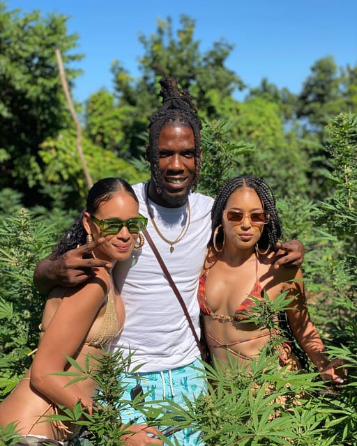 Montego Bay Marijuana Farm Tour - Transport deserves careful attention
