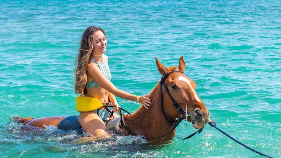 Montego Bay/Negril/Lucea: All-Access Adventure Pass - Horseback Ride ‘N’ Swim in the Caribbean