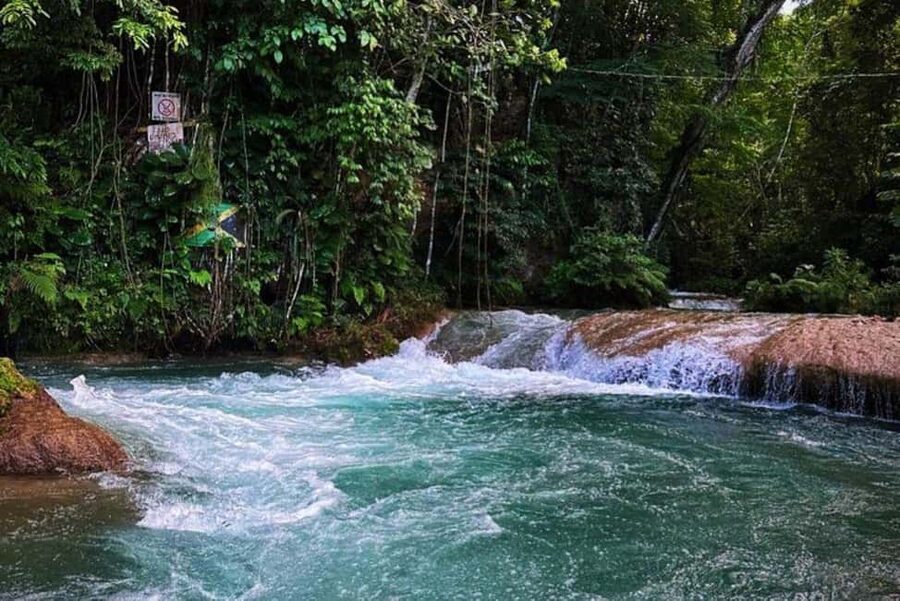 Montego Bay: Private Dunn's River Falls and Blue Hole Tour - Climbing the 600-foot Dunn’s River Falls