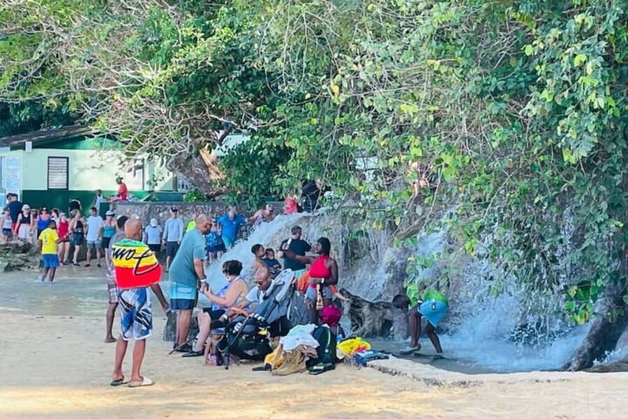 Montego Bay: Private Dunn's River Falls and Blue Hole Tour - What to confirm before you leave Montego Bay