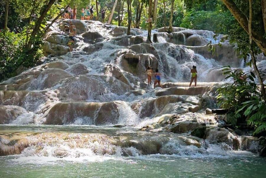 Montego Bay: Private Dunn's River Falls and Blue Hole Tour - The Montego Bay pickup and long road transfer