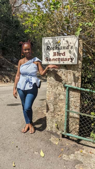 Montego Bay: Private Rocklands Bird Sanctuary Trip - Why the hummingbirds are the main event