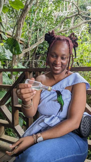 Montego Bay: Private Rocklands Bird Sanctuary Trip - Who will enjoy Rocklands most?