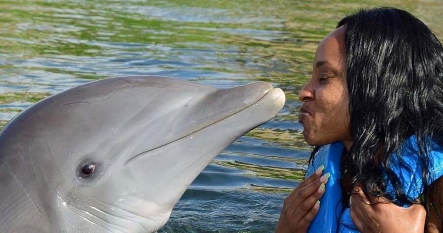 Montego Bay: Swim With The Dolphins Adventure in Lucea - The first van ride and the Hip Strip stop