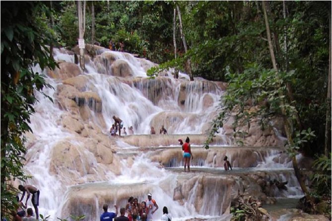Montego Bay to Dunn's River Falls Half-Day Trip - Key points to know before you book