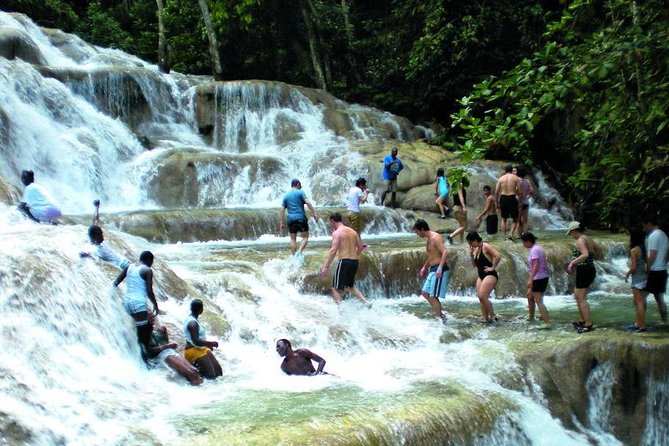 Montego Bay to Dunn's River Falls Half-Day Trip - What the Montego Bay transfer really means