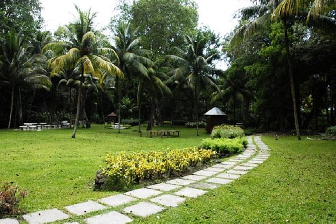 Montego Bay to Dunn's River Falls Half-Day Trip - Who will enjoy this half-day trip?
