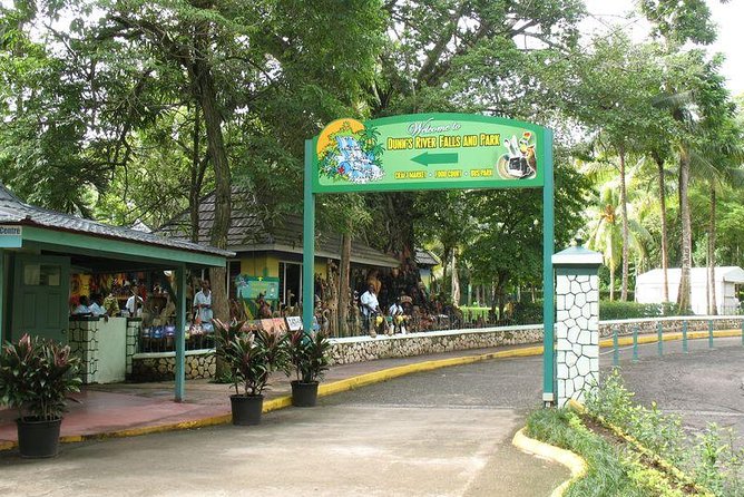 Montego Bay to Dunn's River Falls Half-Day Trip - Booking and preparation tips