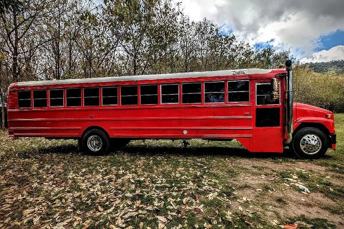 Montego Bay to Kingston PickUp & Drop-Off Service UP 20 PEOPLE - Music, DJs, and the Onboard Setup