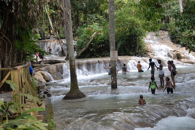 Montego Bay tour: Dunn's River Falls - Who will enjoy this tour most