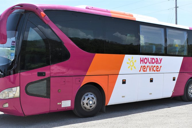 MontegoBay Airport to Ocho Rios: One way/Round Trip cheap Shuttle - Shared service or private car?