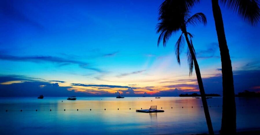 Negril 7-Hour Tour from Montego Bay - Why This Negril Day Works From Montego Bay
