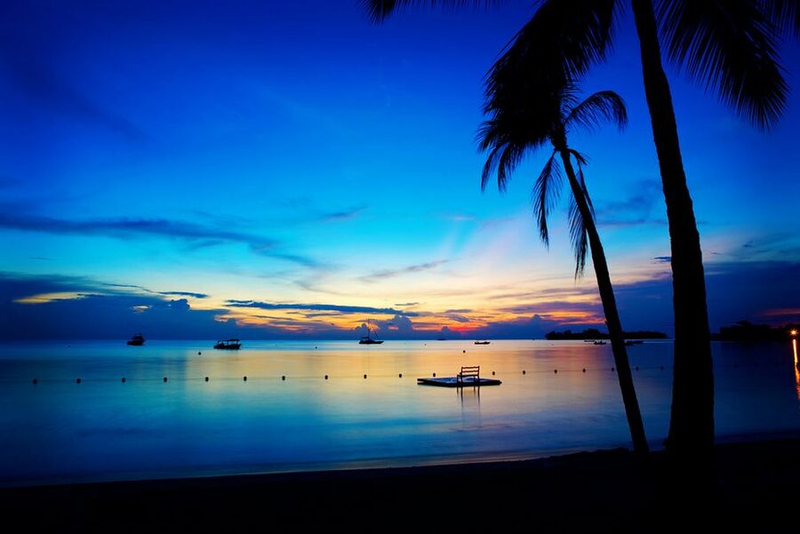 Negril 7-Hour Tour from Montego Bay - Jerk Chicken and Local Flavors
