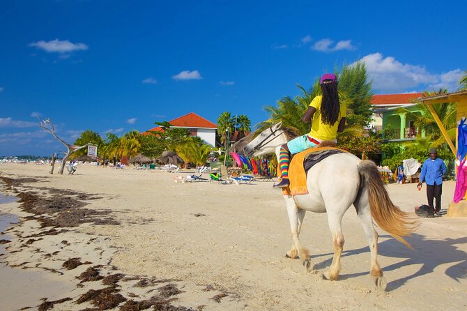 Negril 7 Mile Beach and Rick's Cafe Tour From Montego Bay Jamaica - Who should book this Negril tour?