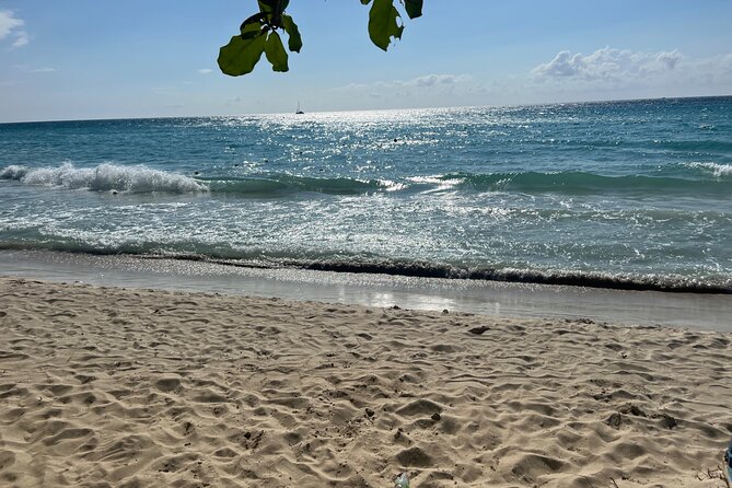 Negril 7 Mile Beach and Ricks Cafe Tour - What the $105 price really covers