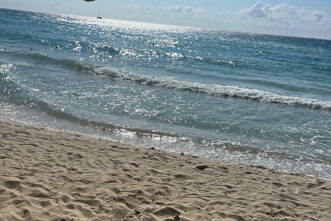 Negril 7 Mile Beach and Ricks Cafe Tour - Who will get the most from this day