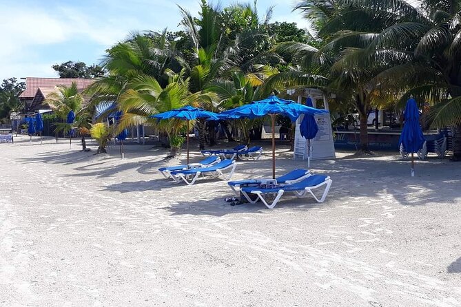 Negril 7 Miles Beach and Rick's Cafe Tour - Key Points at a Glance