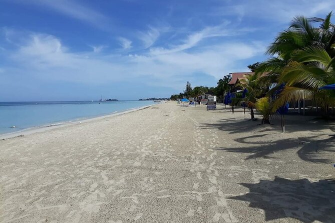 Negril 7 Miles Beach and Rick's Cafe Tour - Is $131 a Fair Price?