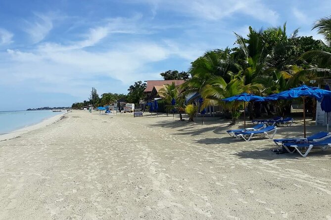 Negril 7 Miles Beach and Rick's Cafe Tour - Who Will Enjoy This Negril Day Trip?