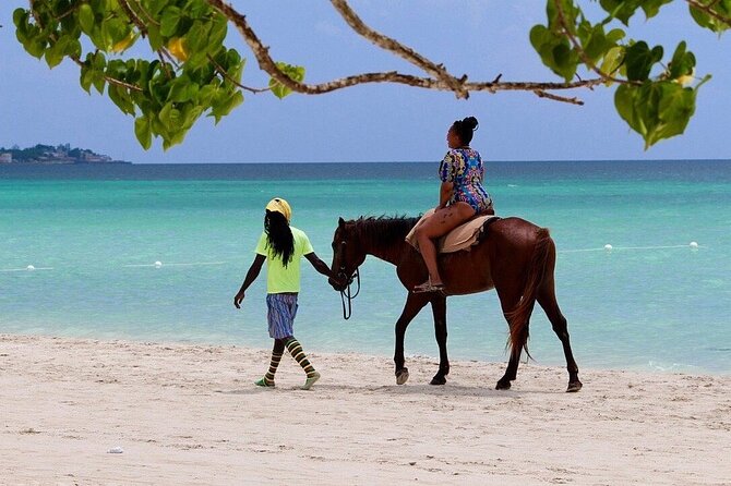 Negril Beach & Rick's Cafe Tour - Who Will Enjoy This Short Negril Outing