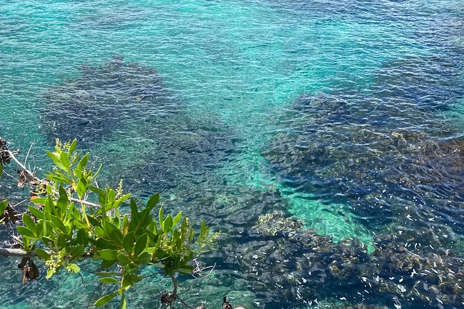 Negril day! beach and west end Cliffs with French Guide - Timing, pickup, and practical planning