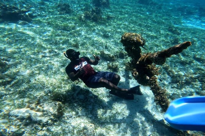 Negril Glass Bottom Boat Tour Snorkeling and Booby Cay - Key points to know before you book