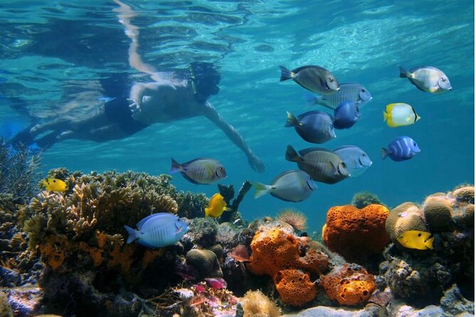 Negril Glass Bottom Boat Tour Snorkeling and Booby Cay - A glass-bottom start from Negril Beach