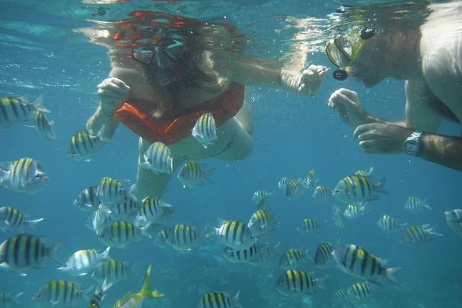 Negril Lobster Lunch on Booby Cay & Snorkeling To a Sunken Cannon - Key points to know before you book