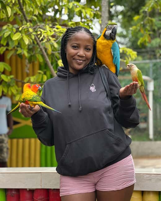 Negril Marijuana Farm and Mineral Spring Tour - A practical packing list for this half-day outing