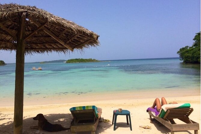 Negril Private and Public Beach with Ricks Cafe from Montego Bay - Ending at Rick’s Cafe and the cliffs