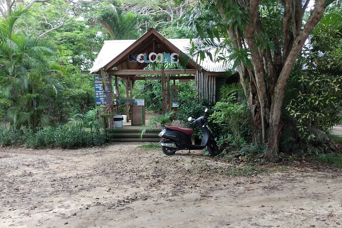 Negril Private and Public Beach with Ricks Cafe from Montego Bay - What the $129.99 price really covers