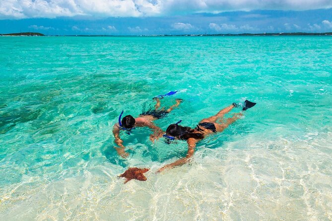 Negril Seven Miles Beach, Snorkeling, Boat Ride, Ricks Cafe Combo - Key points to know before you book