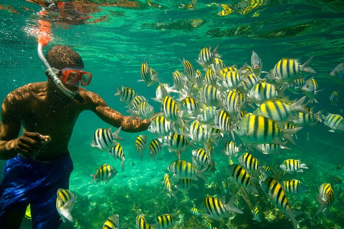 Negril Seven Miles Beach, Snorkeling, Boat Ride, Ricks Cafe Combo - Margaritaville for extra beach time