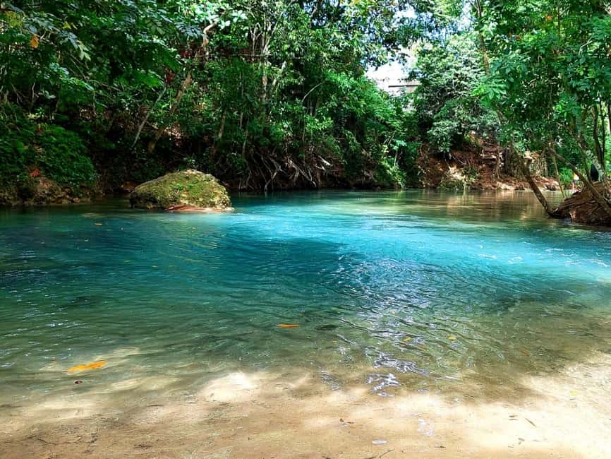 Ocho Rios: Blue Hole, Dunn’s River & Reggae Hill Guided Tour - Should you book the Blue Hole and Dunn’s River combination?