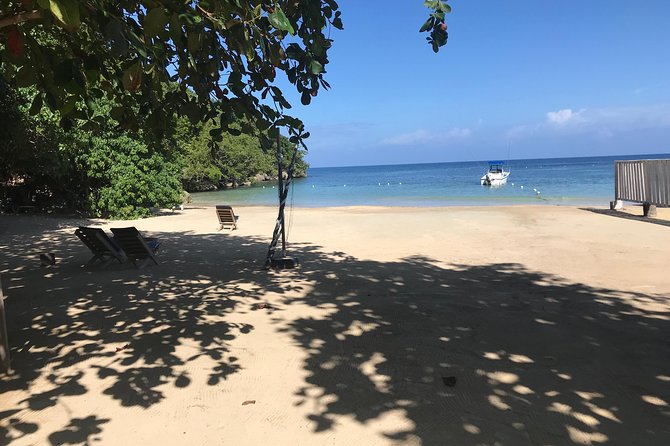 Ocho Rios City Bus Tour (Beach, Sightseeing & Shopping) - Shopping requires clear instructions