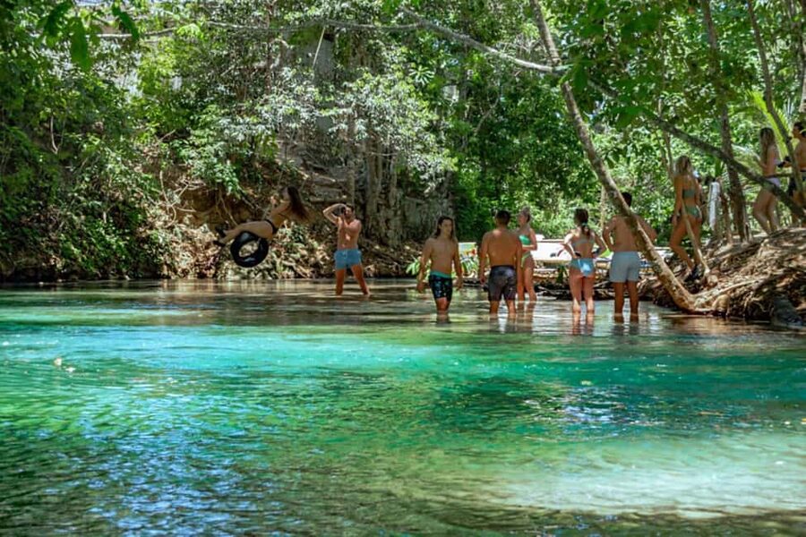 Ocho Rios: Dunn’s River Falls & Reggae Hill Tour - Why the waterfall is worth the effort