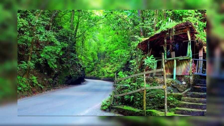 Ocho Rios: Guided Sightseeing Tour - Lookouts trade street detail for big views