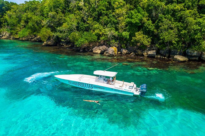 Ocho Rios Powerboat & Dunn’s River Falls Adventure - What the small group changes