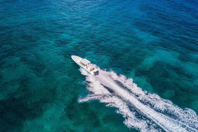 Ocho Rios Powerboat & Dunn’s River Falls Adventure - Timing, weather, and practical limits
