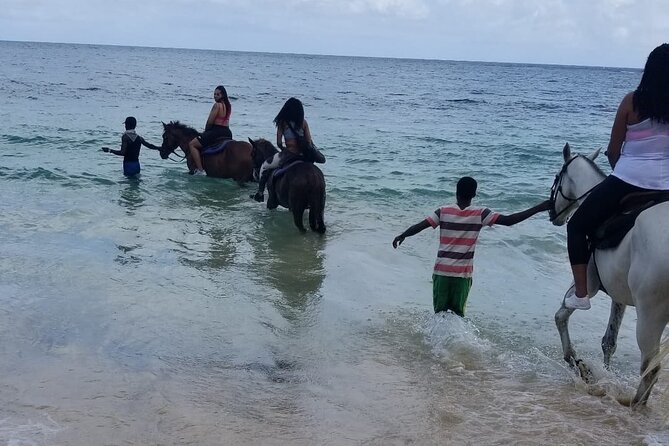 Ocho Rios Private Horse Riding, River Tubing and Rafting[Entry fee not included] - Who will enjoy this combination most