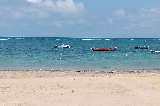 Ocho Rios Scenic Views, Culture and Adventure - Who should book this outing