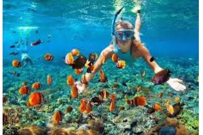 Party Catamaran and Snorkeling Tour in Montego Bay - How the four hours are best used