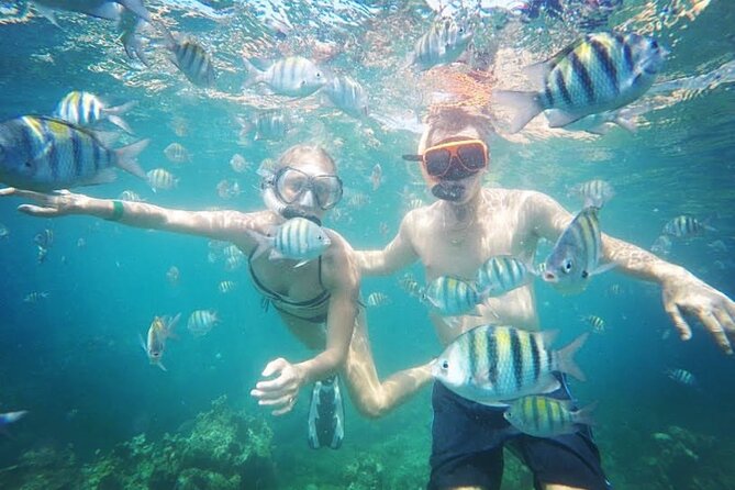 Party Catamaran Cruise with Open Bar and Snorkeling Montego Bay - Morning family time or afternoon adults-only energy