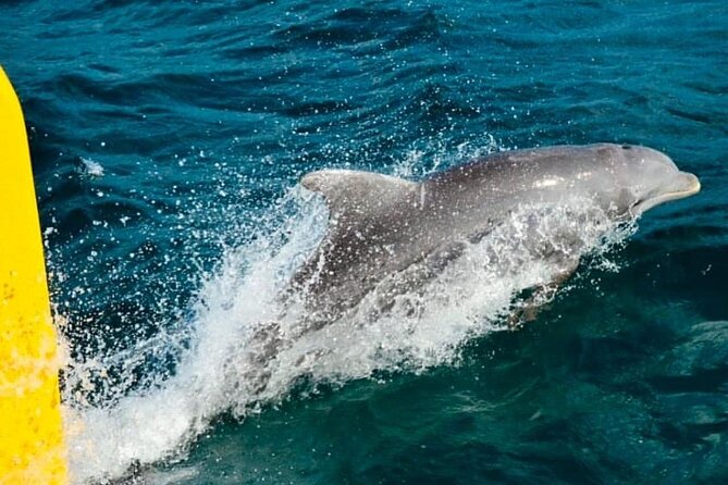 PARTY Catamaran Cruise with Snorkeling Rick's Cafe ADULTS ONLY - Rick’s Café, cliff jumping, and sunset