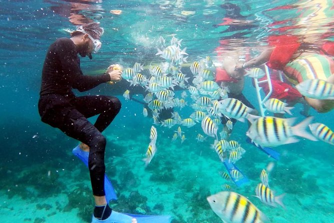 Party Catamaran: OpenBar, Music, Negril Beach, Caves, Snorkeling - Snorkeling, music, and the open bar