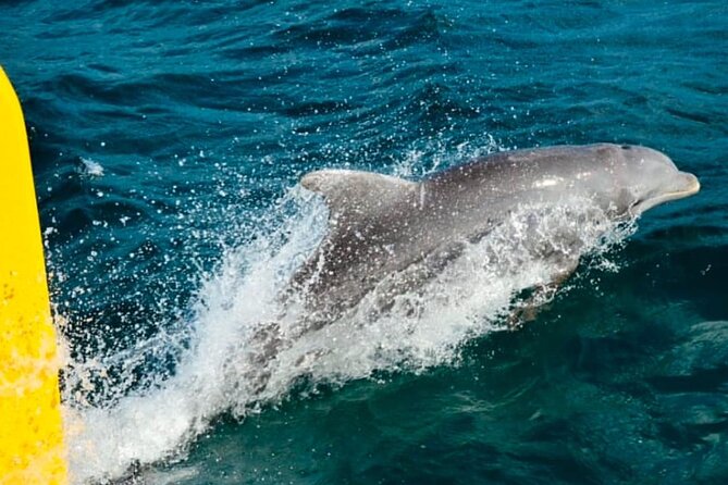 Party Catamaran: OpenBar, Music, Negril Beach, Caves, Snorkeling - Adults-only or family-friendly departure days