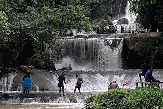 Pelican Bar, Appleton Rum Tour, YS Falls Jamaica south coast experience Montego - Why a private tour changes the day